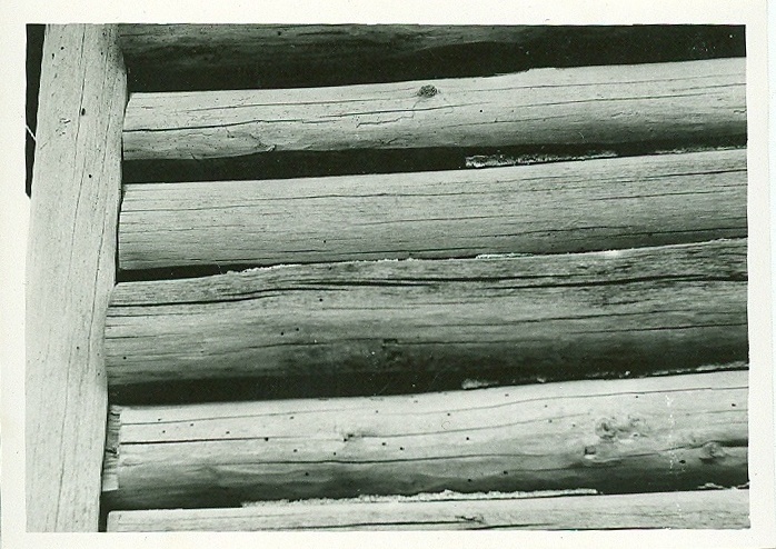 PC SK Hlivištia Fagus.jpg